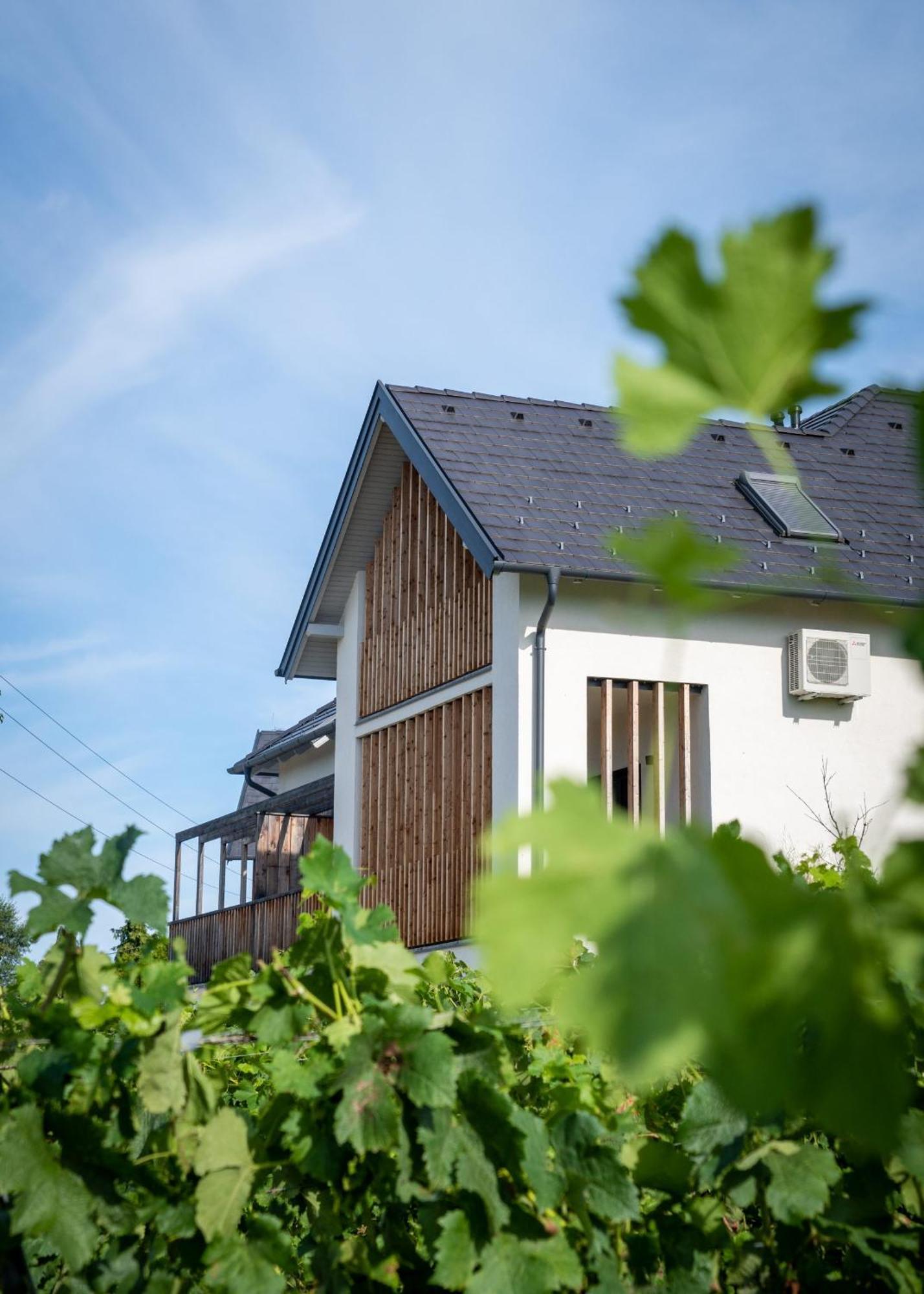 Aparthotel Domaine Edegger - Organic Winery Badacsony Badacsonytomaj Exteriér fotografie